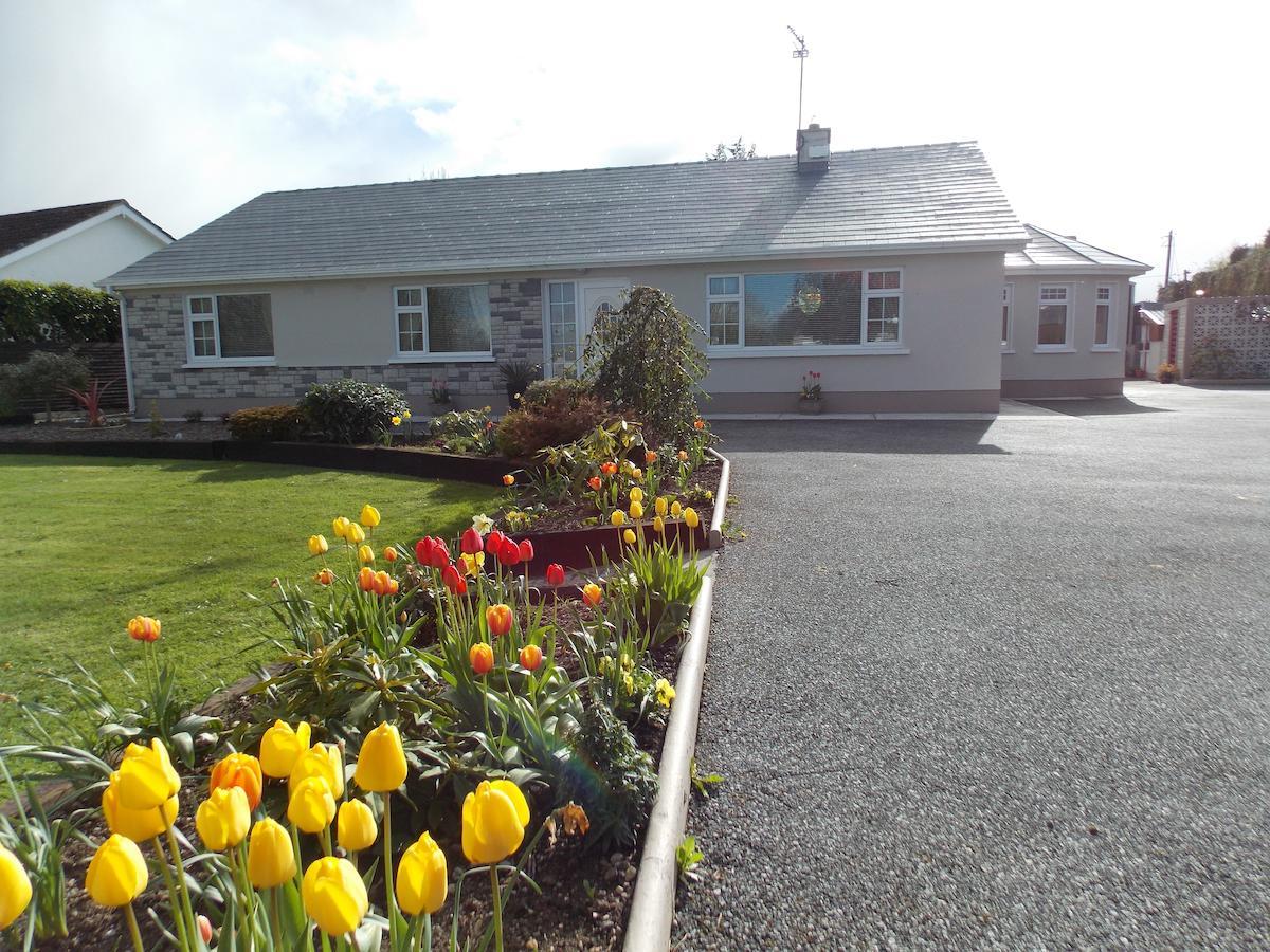 Barrow View Accommodation Mountmellick Eksteriør bilde