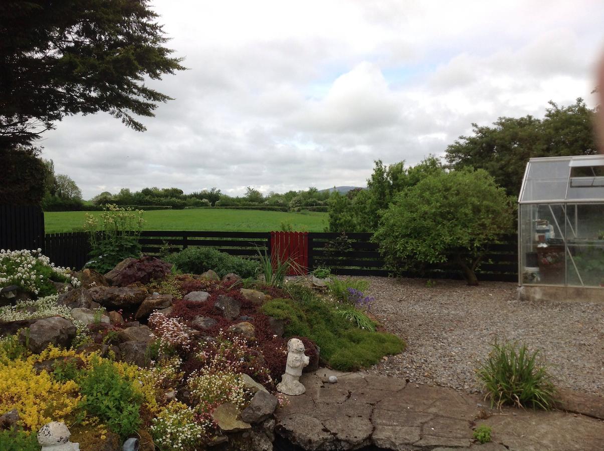 Barrow View Accommodation Mountmellick Eksteriør bilde